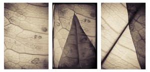 'triptych 1-3' by Pernilla Persson | Photography | 2015