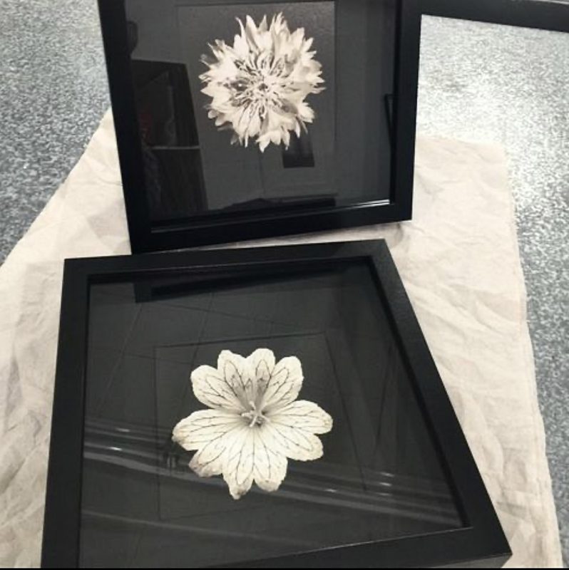 ‘Summer Blossom’ and ‘White Klint’ framed and ready  |  Series, Season of Light  |  ©PernillaPersson.com